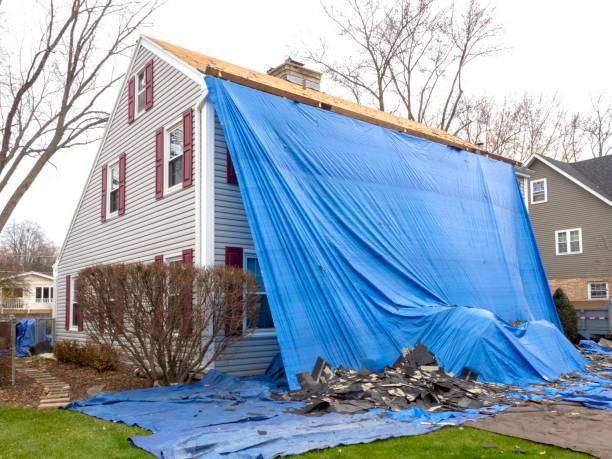 Best Construction Debris Removal  in Medina, NY