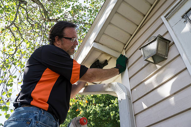 Best Demolition Debris Removal  in Medina, NY